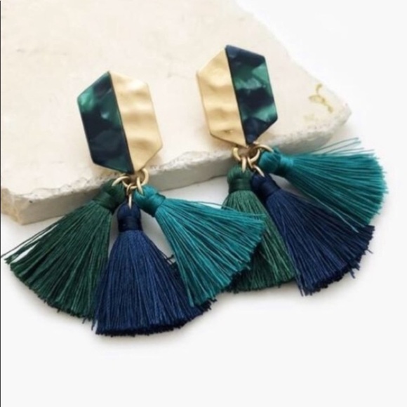 NWT Two toned hexi tassel earrings - Picture 1 of 3